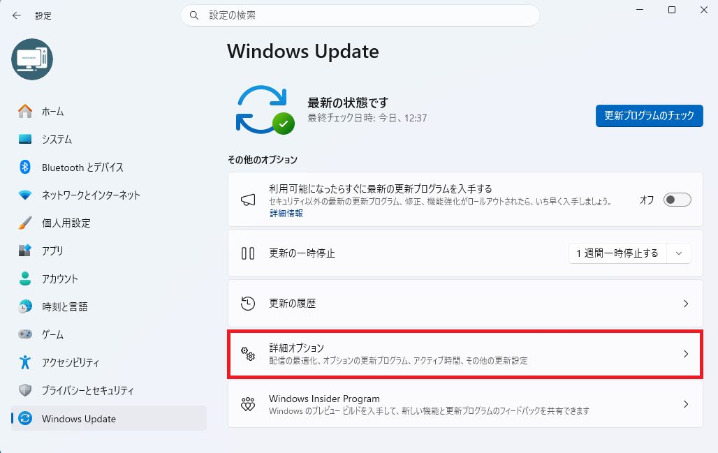 Windows Updateの画面。下部にある「詳細オプション」の項目が示されている様子。